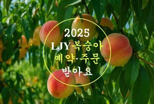 2025 복숭아 예약 주문 받습니다.