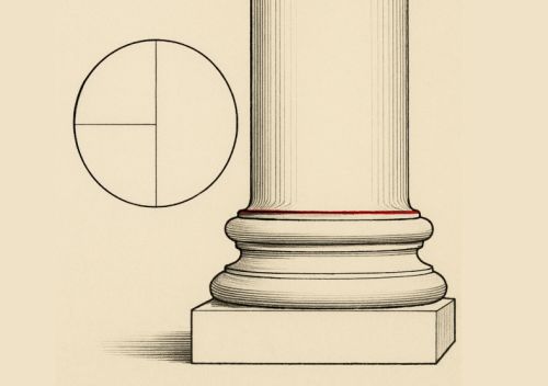 비트루비안 모듈